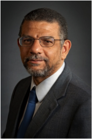 Mohamed Eltoweissy